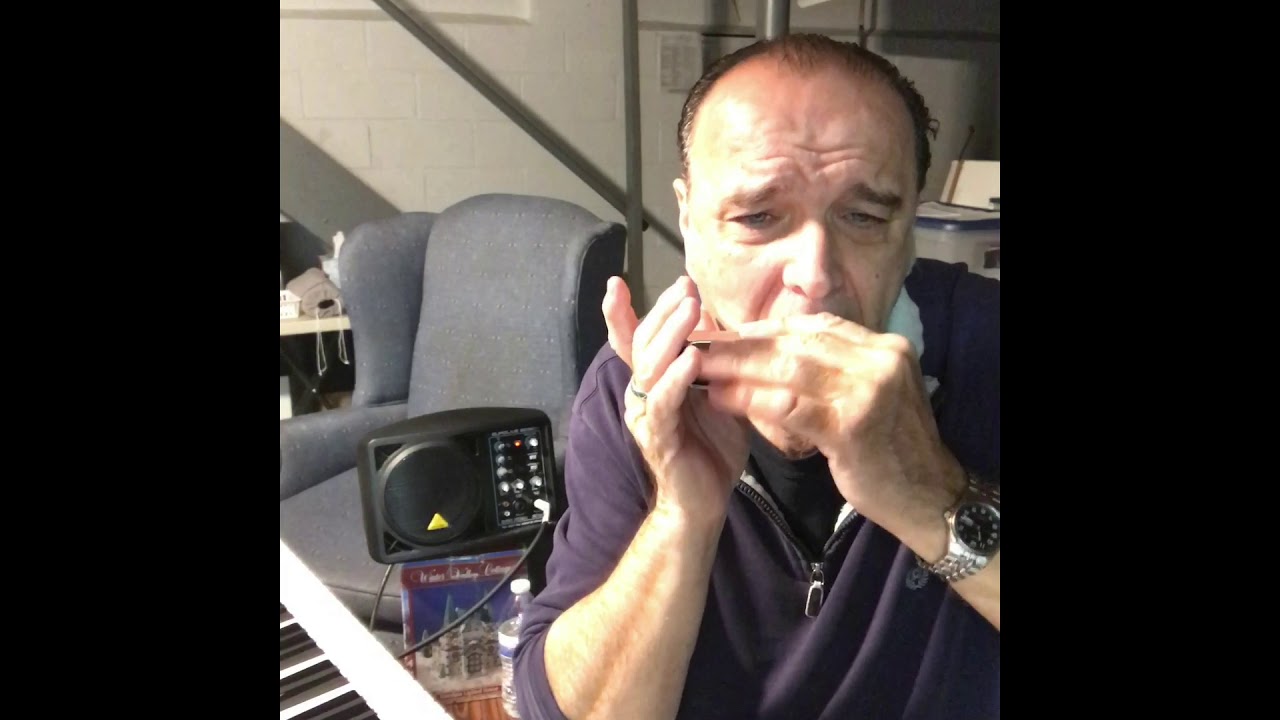 Hohner ACE 48 Pearwood Inserts - Rob Paparozzi