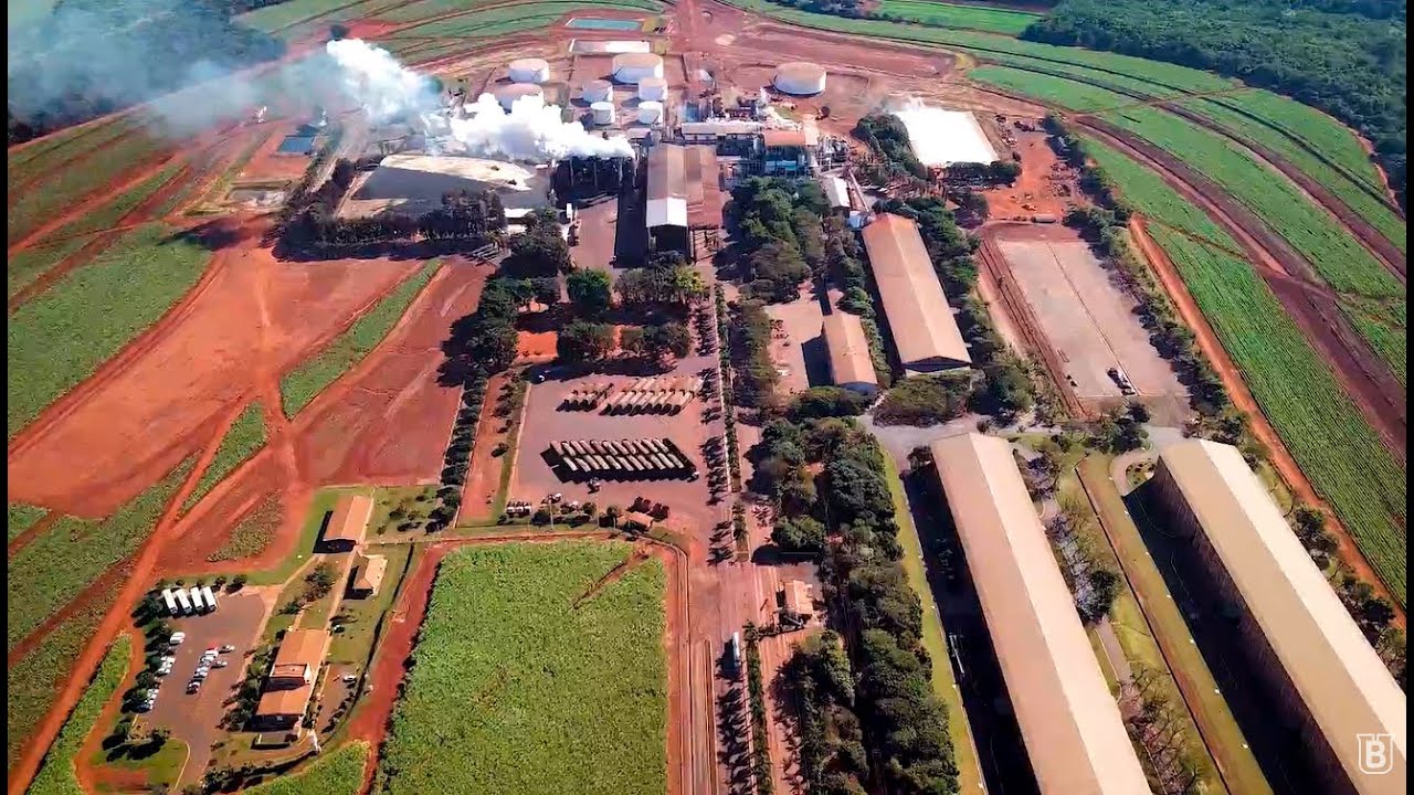 Usina Batatais | Institucional 2020 (PORTUGUÊS)