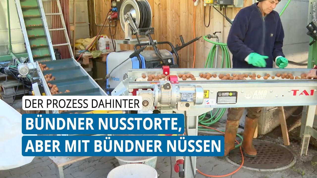 Bündner Nusstorte: Der lange Weg jeder Nuss bis in die Torte