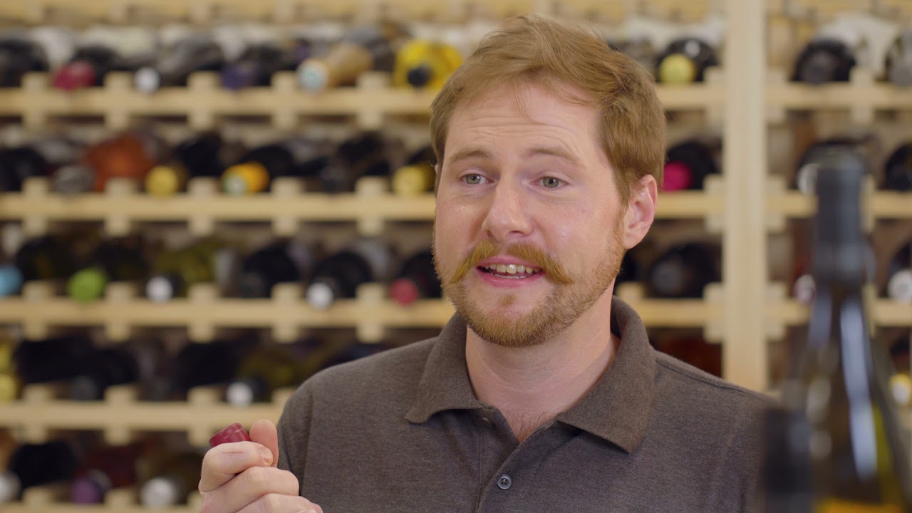 Discover the Catena Malbec with Majestic