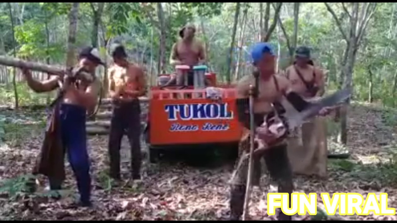 orkes sonetaria yang versi parodi
