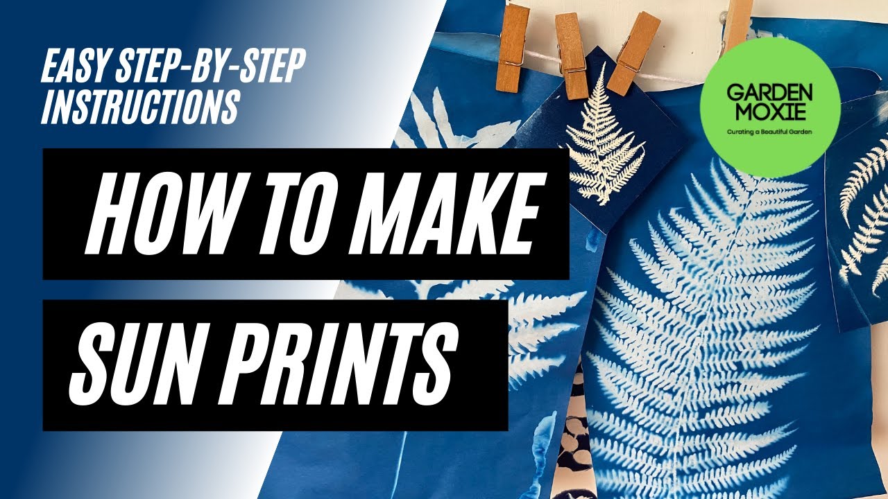 How To Make Cyanotypes