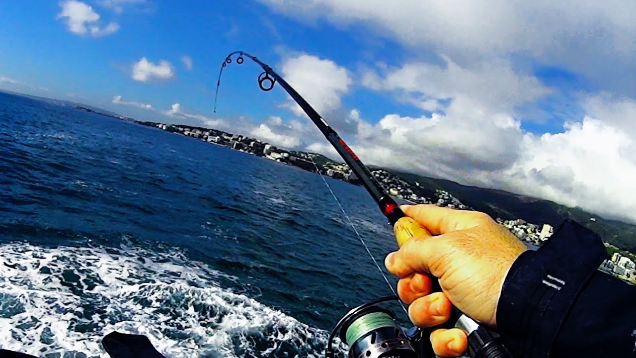 Rockfishing!! Jornada Mixta, Dentones/Sargos/Obladas/Vidriadas...de tutto!