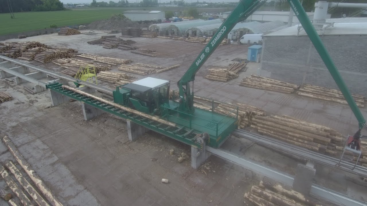 Maszyna do transportu, manipulacji i sortowania drewna okrągłego Baljer & Zembrod RSTW