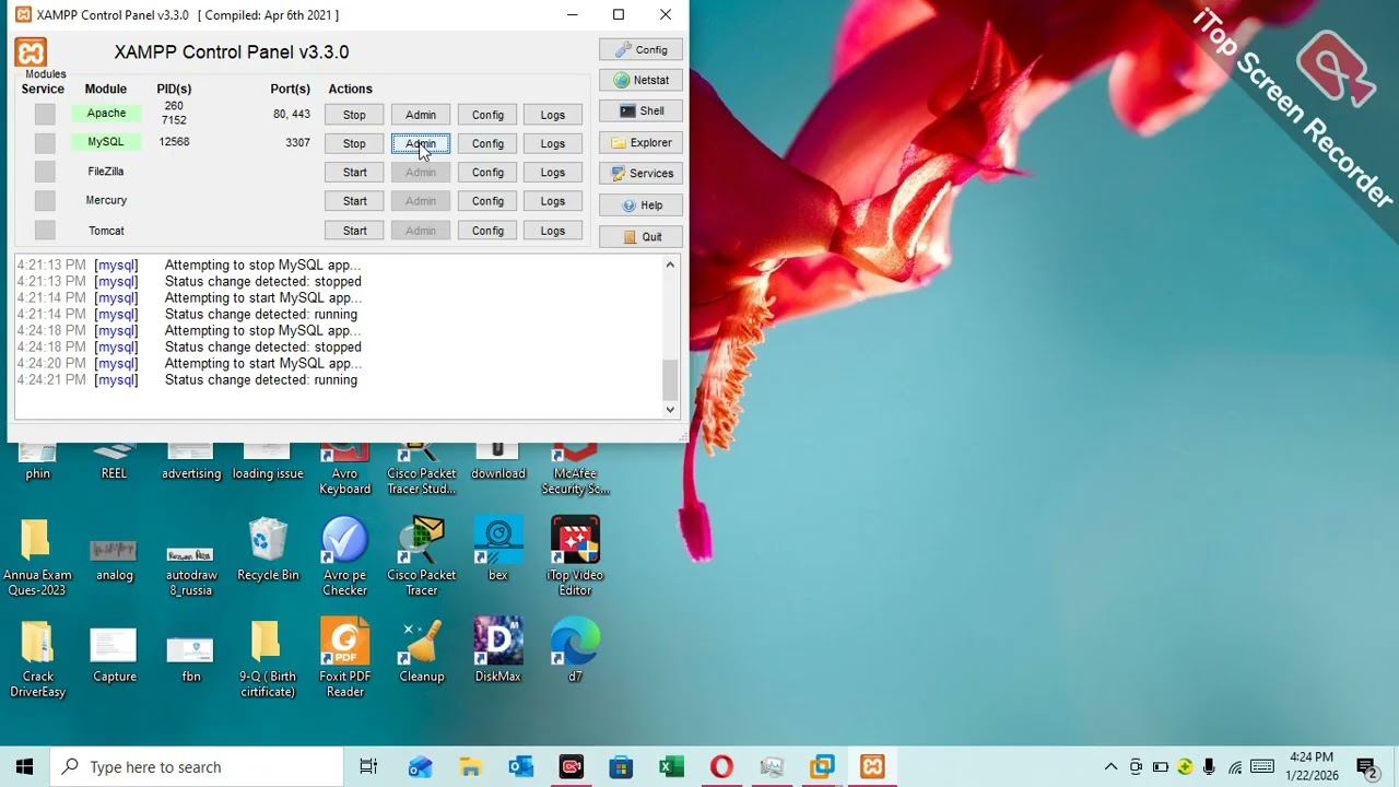 cannot connect mysql