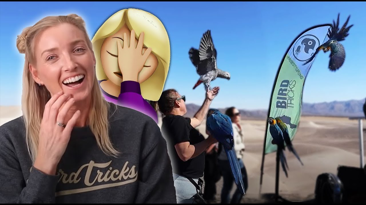FREEFLIGHT FAILS! 😱🤣