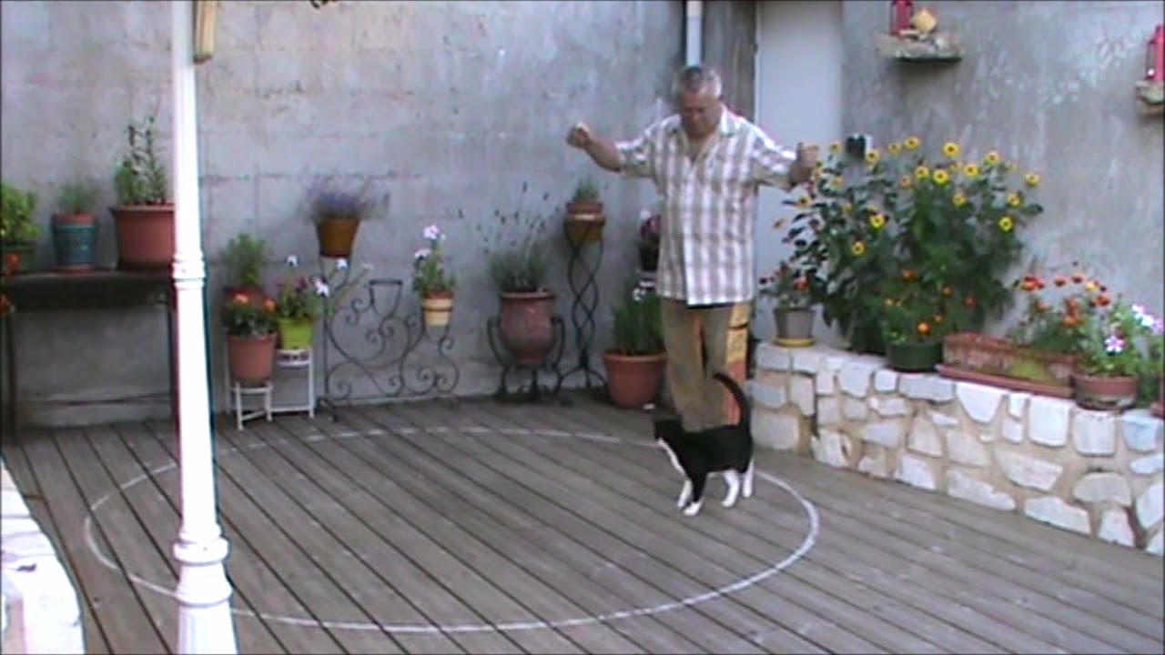 Siganos  Crète  la danse