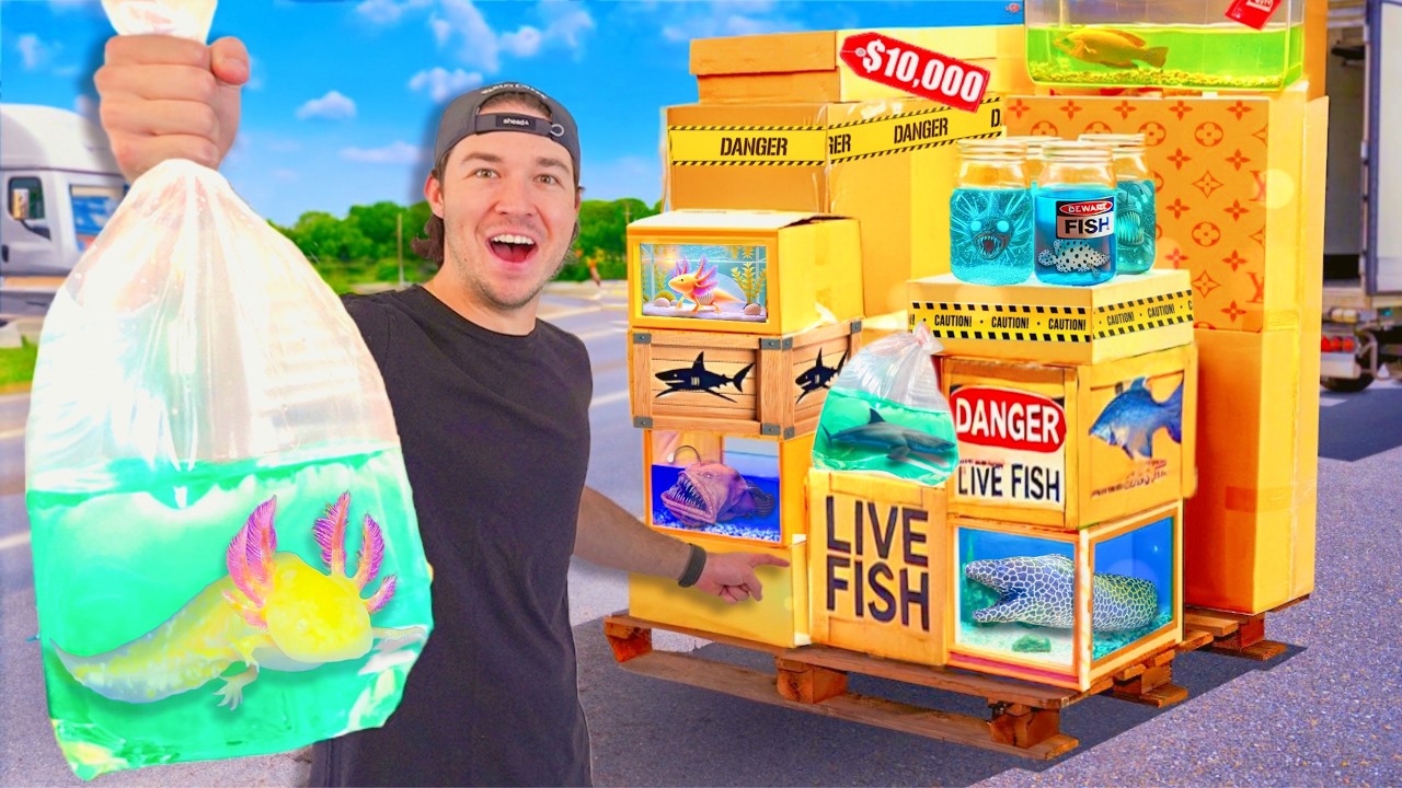 I Bought Every Live Fish Mystery Box! (What&rsquo;s Inside?)