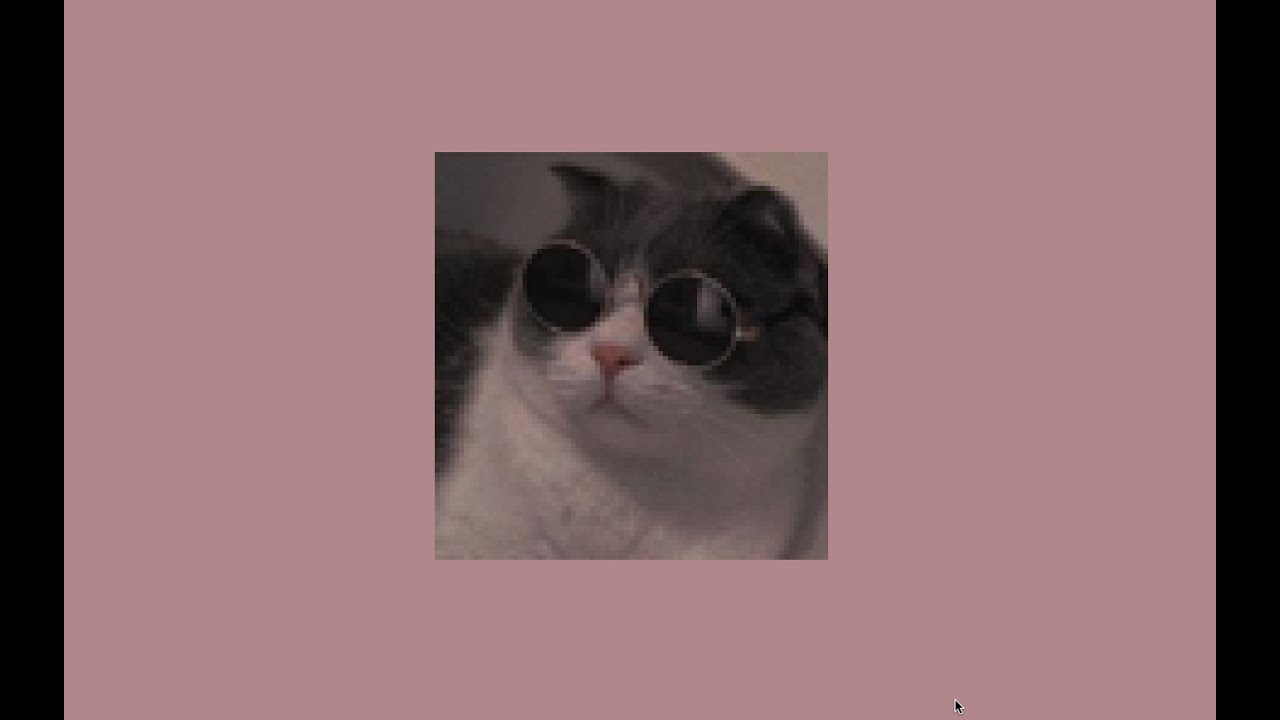 ꜱᴏɴɢꜱ ᴛᴏ ᴅᴀɴᴄᴇ ᴛᴏ 😎