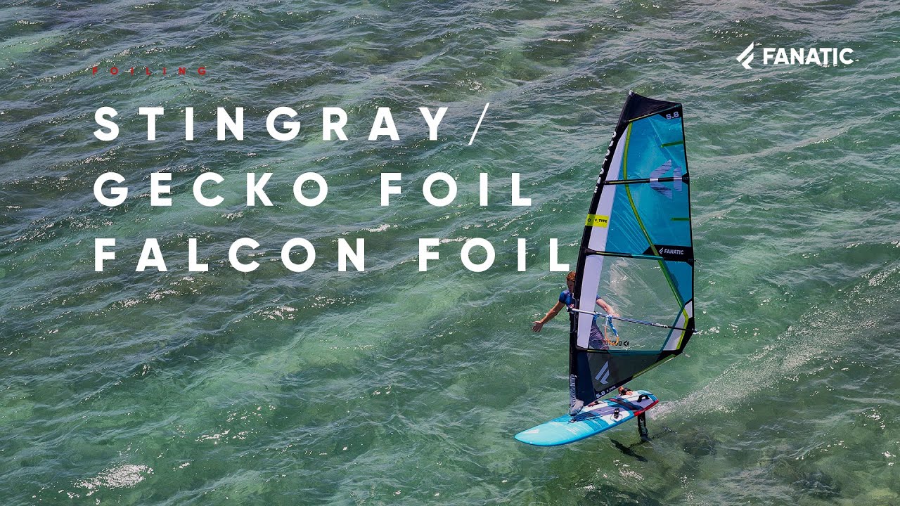 Fanatic Stingray, Gecko Foil & Falcon Foil 2020