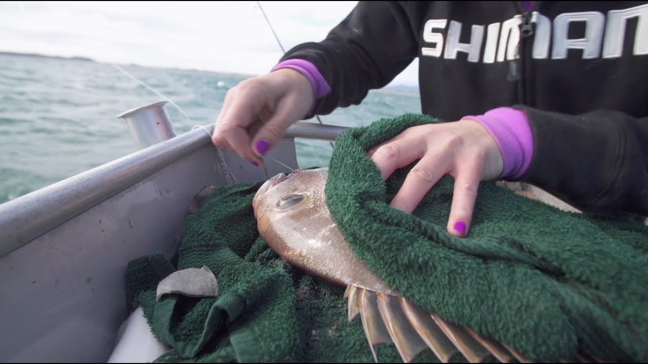 Solo fishing with Nicky Sinden (S 1 Ep 13)