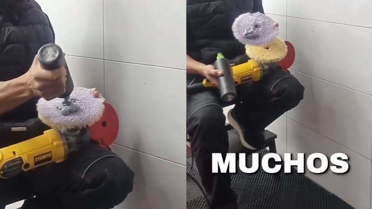 LA cantidad  de producto necesario #detailers #detailing 