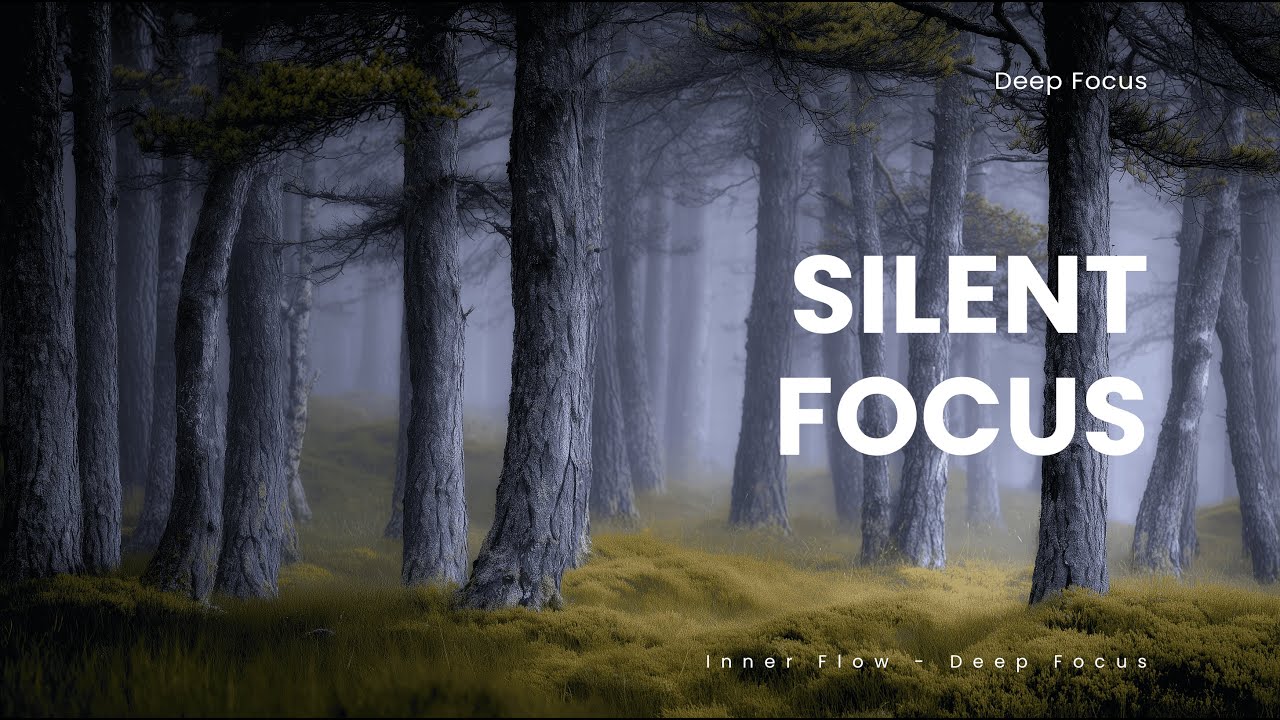 Silent Focus🌲Quiet Soundscapes for Sleep, Focus, Relax and Meditation