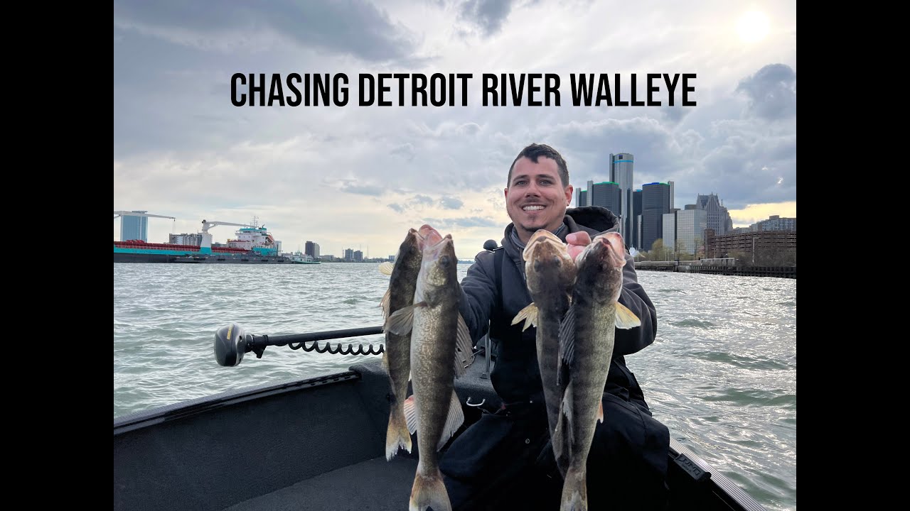 Chasing Detroit River Walleye! 2023