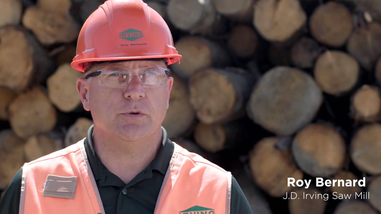 Bioenergy in Northern Maine