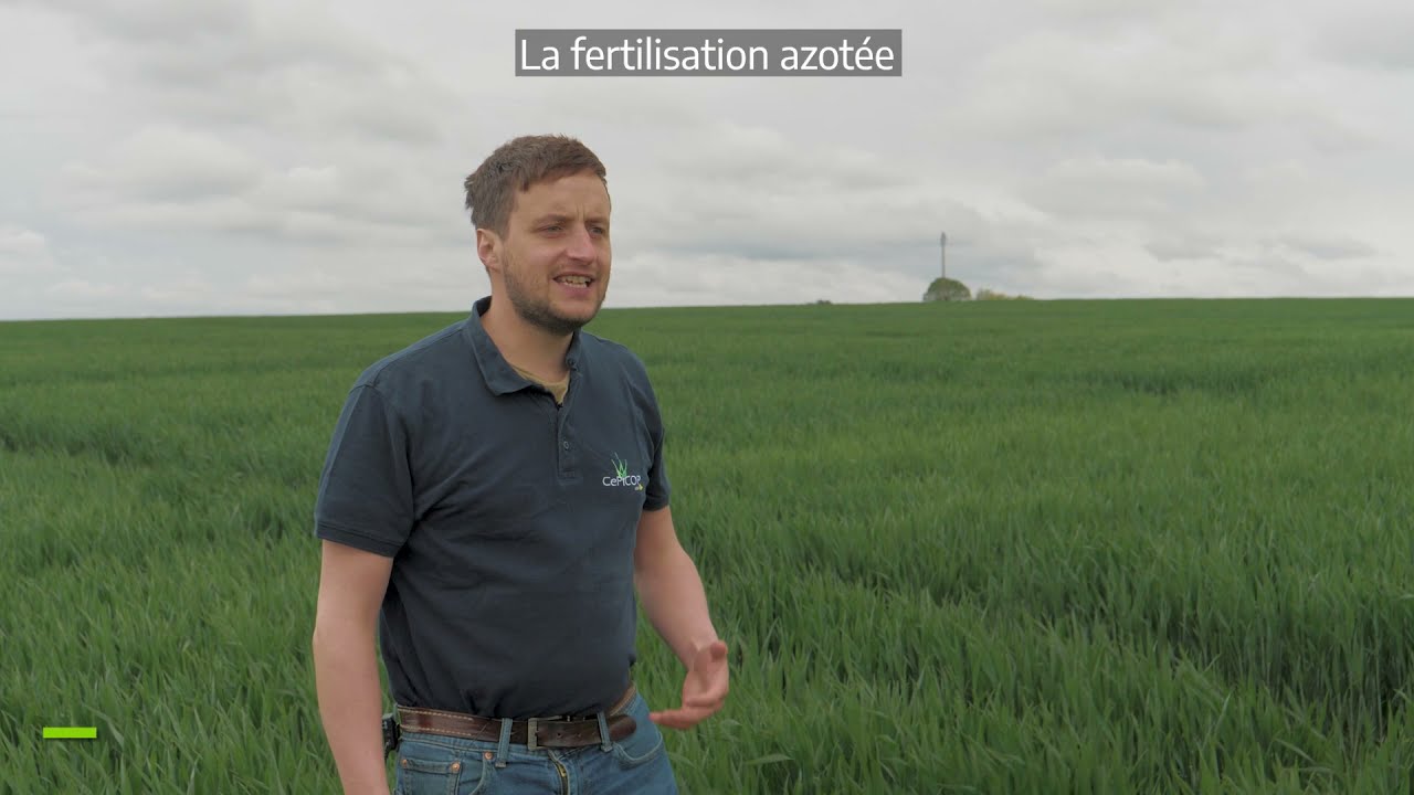 Comment gérer la fertilisation raisonnée des céréales ?