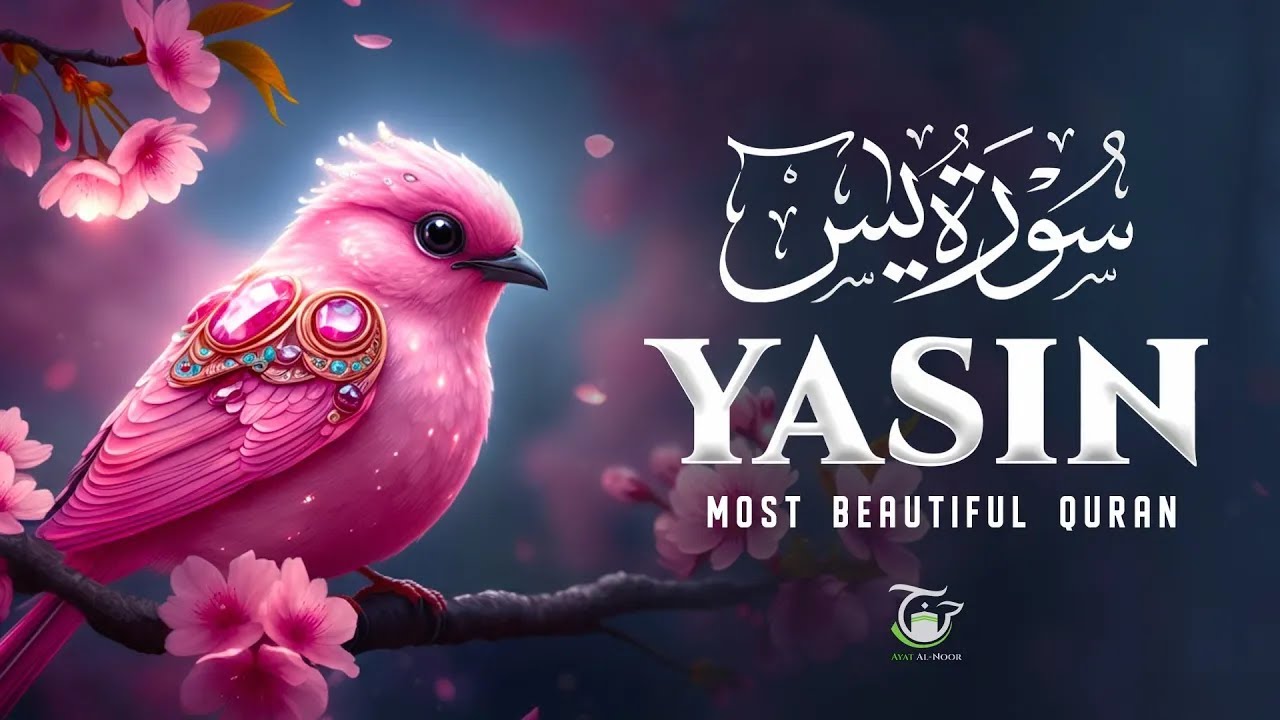 Surah Yaseen (Yasin) سورة يس | Majestic Quran Recitation Calm & Heart Touching Peace #lofiquran