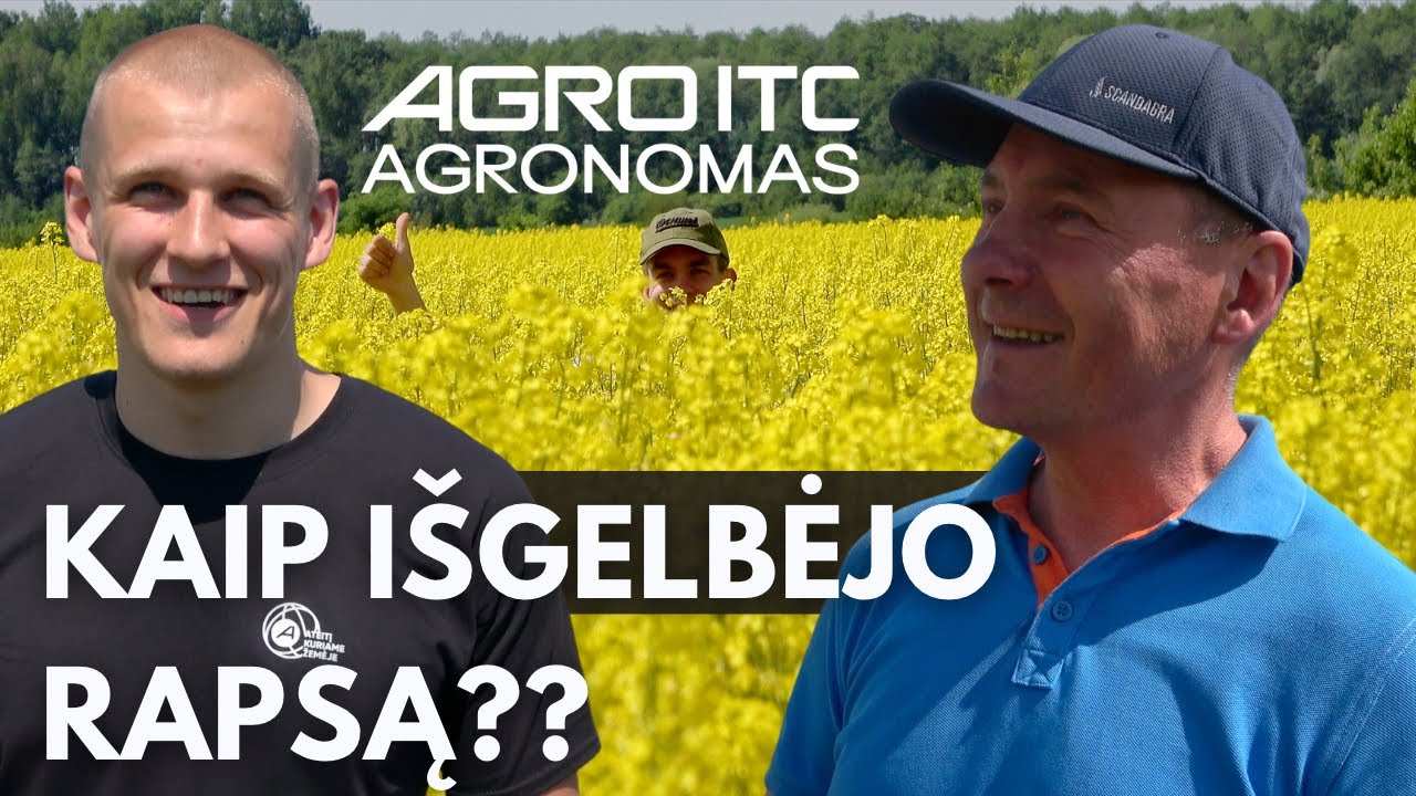 Kaip pavyko išgelbėti rapsą? || AGRO REIDAS #90