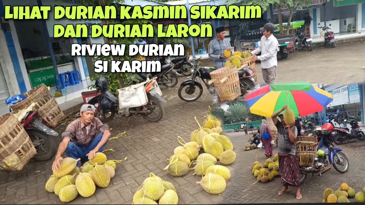 LIHAT HARGA DURIAN SILARON DURIAN KASMIN DAN DURIAN KARIM DI PASAR BUAH PASREPAN riview durian karim