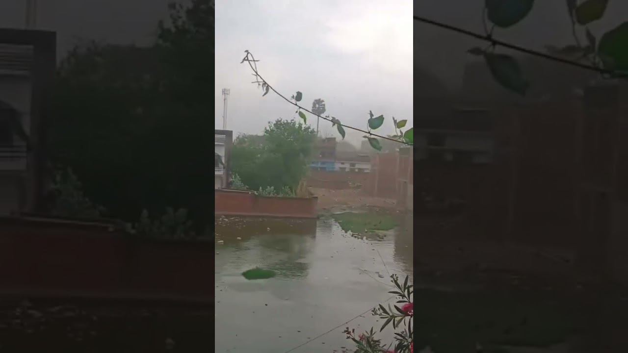 #rainyda