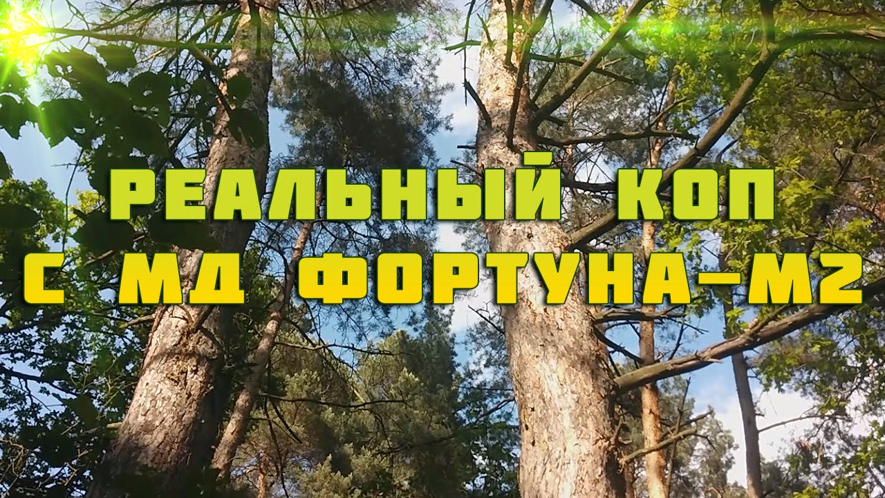Реальный коп с  Фортуна-М2