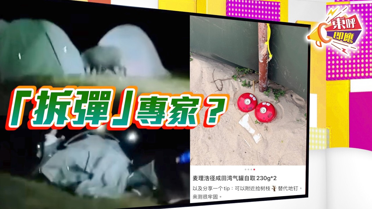 【on.cc東網】東呼即應：野豬夜闖「拜年」嚇喊女營友　內地客沙灘埋「地雷」網民怒轟