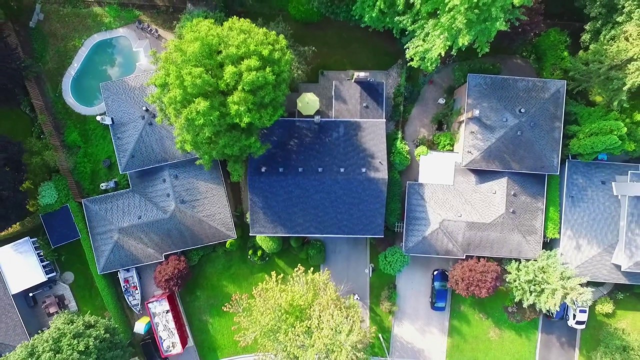 51 Apple orchard path