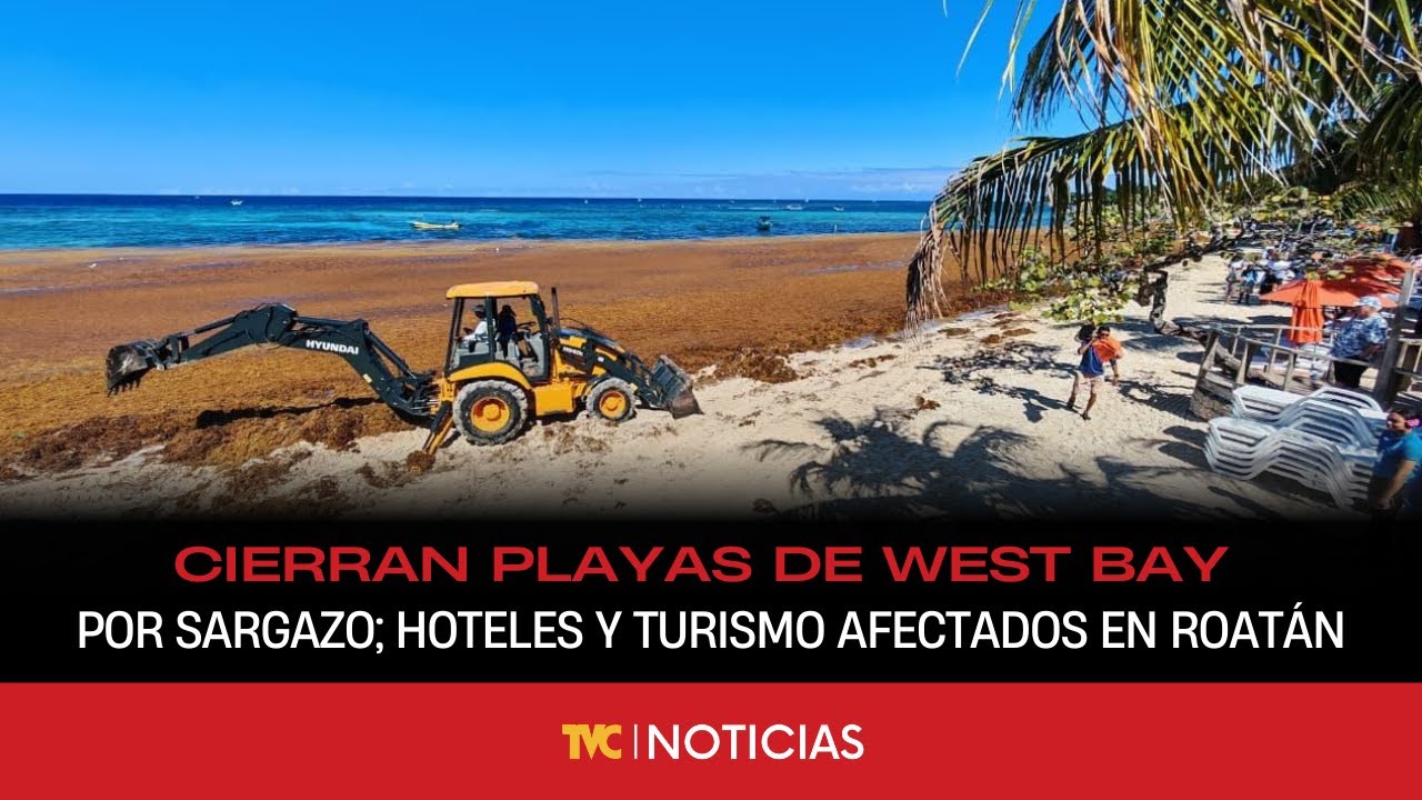 Cierran playas de West Bay por sargazo; hoteles y turismo afectados en Roatán