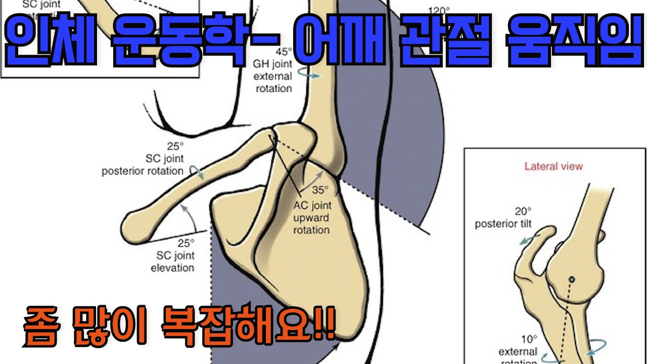 중요한데 어려운 어깨 인체 운동학 (kinesiology) 이해 시켜드립니다!