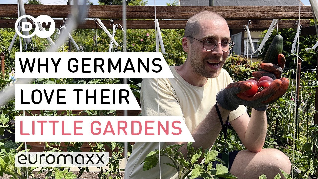 The Average German’s Allotment Garden: The (Strange) Rules & Regulations