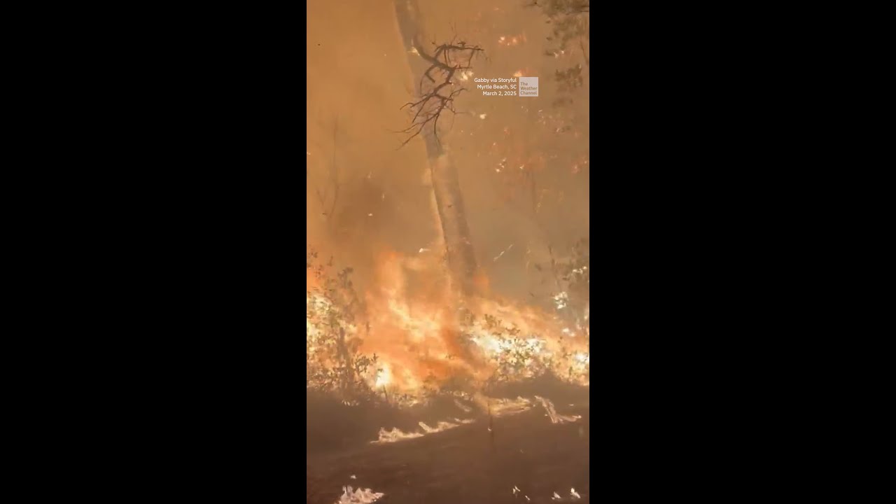 Couple's Harrowing Escape From South Carolina Fire