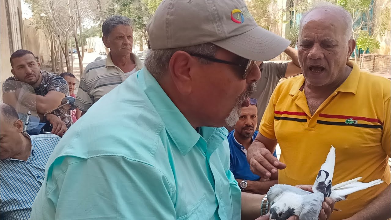 من ارض السيده العيشه عمالقه مصر وعمالقه اسكندريه يتحدث عن بيوت الحمام الصح في مصر عم وصف العراق
