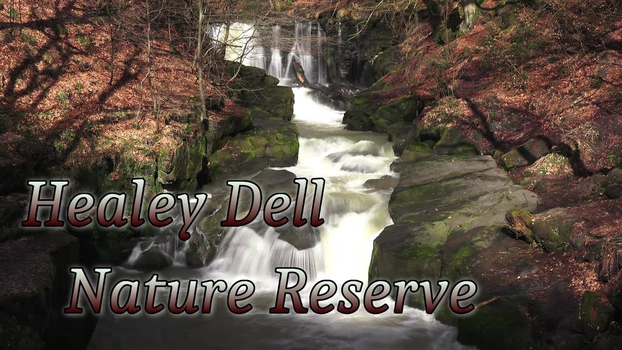 Healey Dell Nature Reserve, Rochdale, 2021