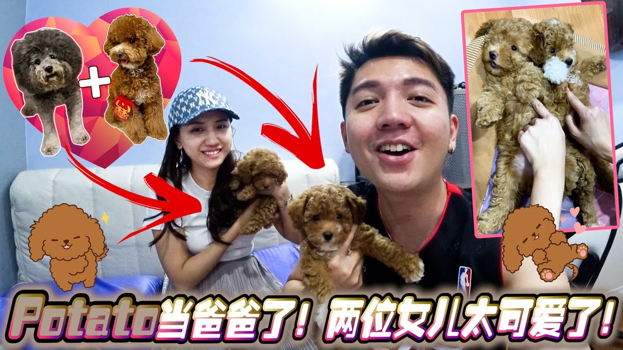 Potato当爸爸了！两位女儿太可爱了！！