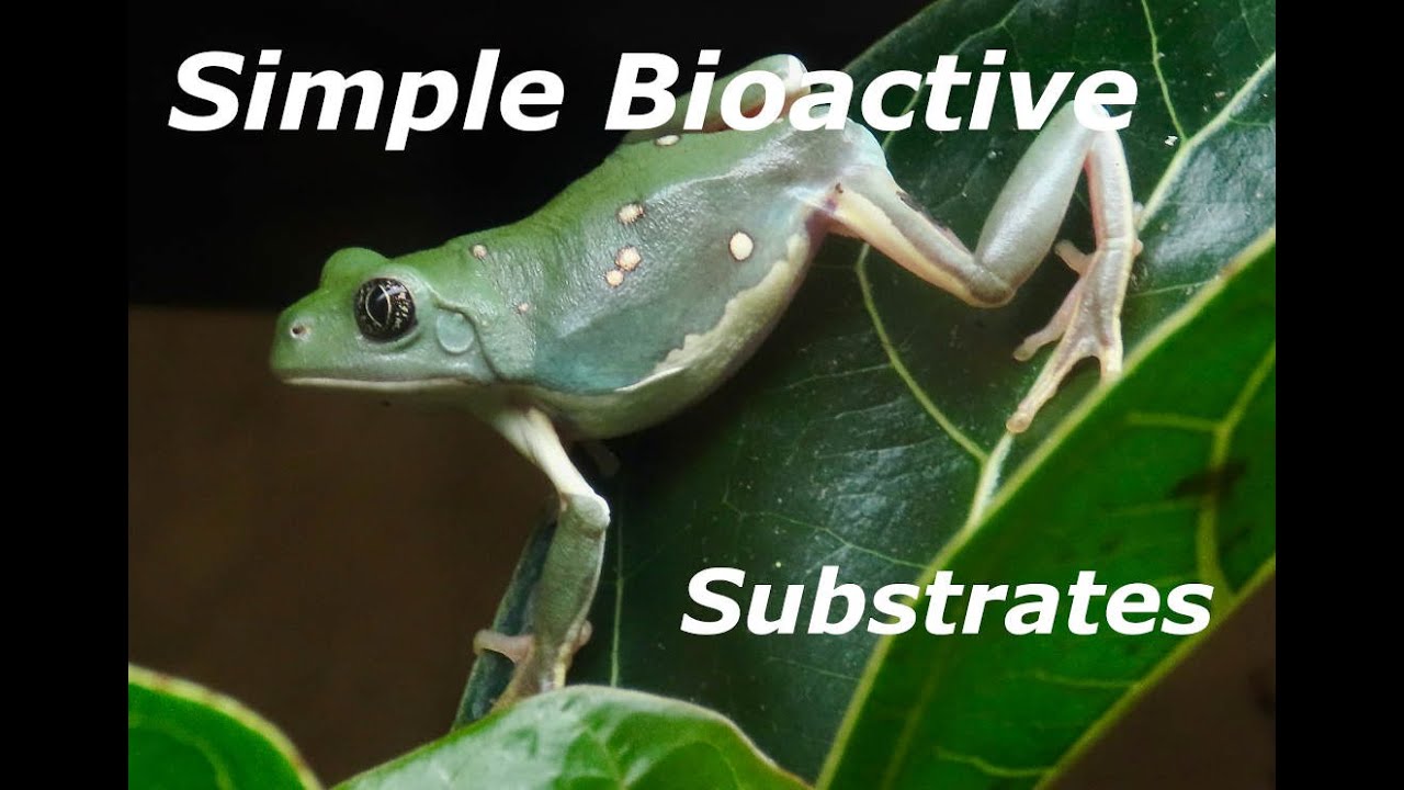 Simple Bioactive - Substrate