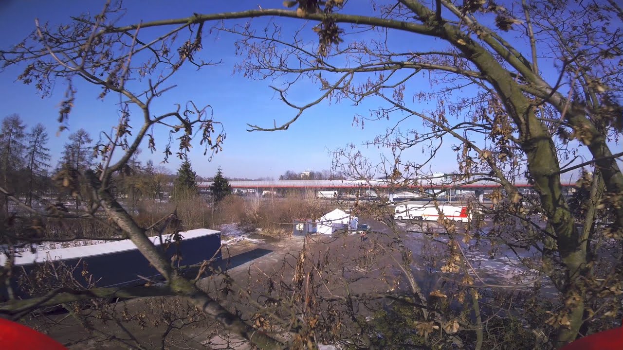 Between the branches | FPV