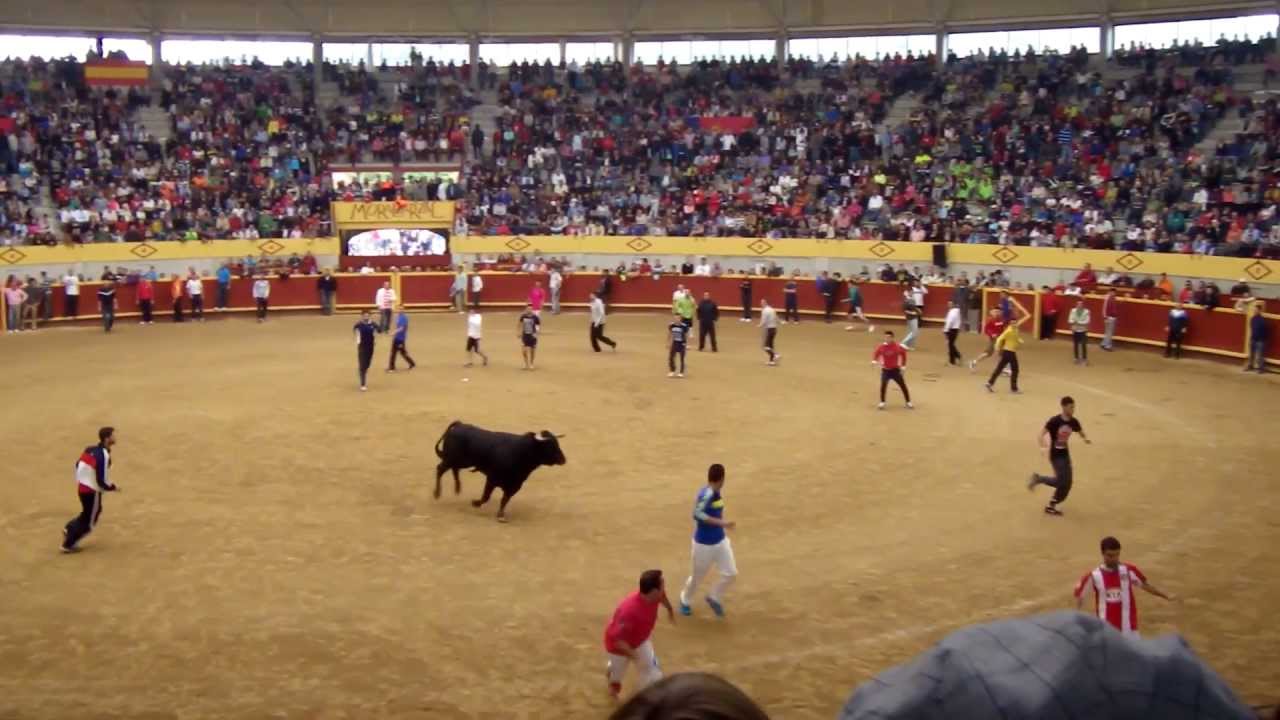 Recortes en los encierros de Moralzarzal 2013