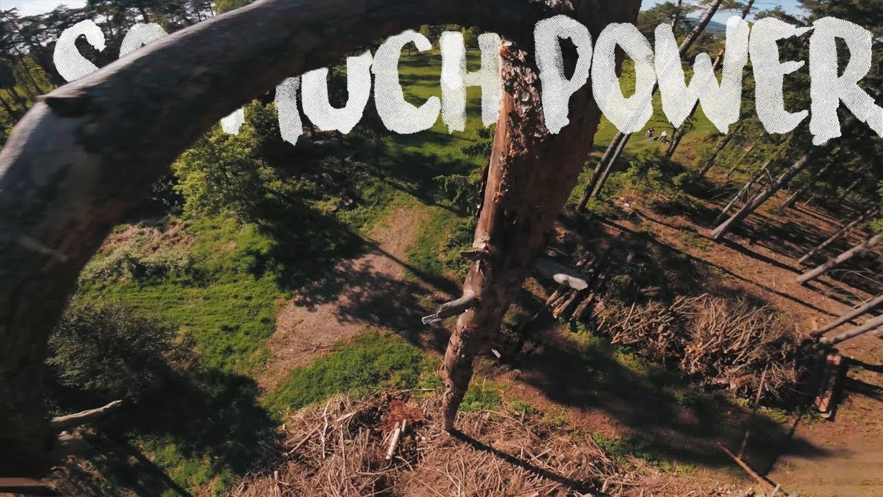 Epic Forest Parkour with 6s Power! - FPV Freestyle