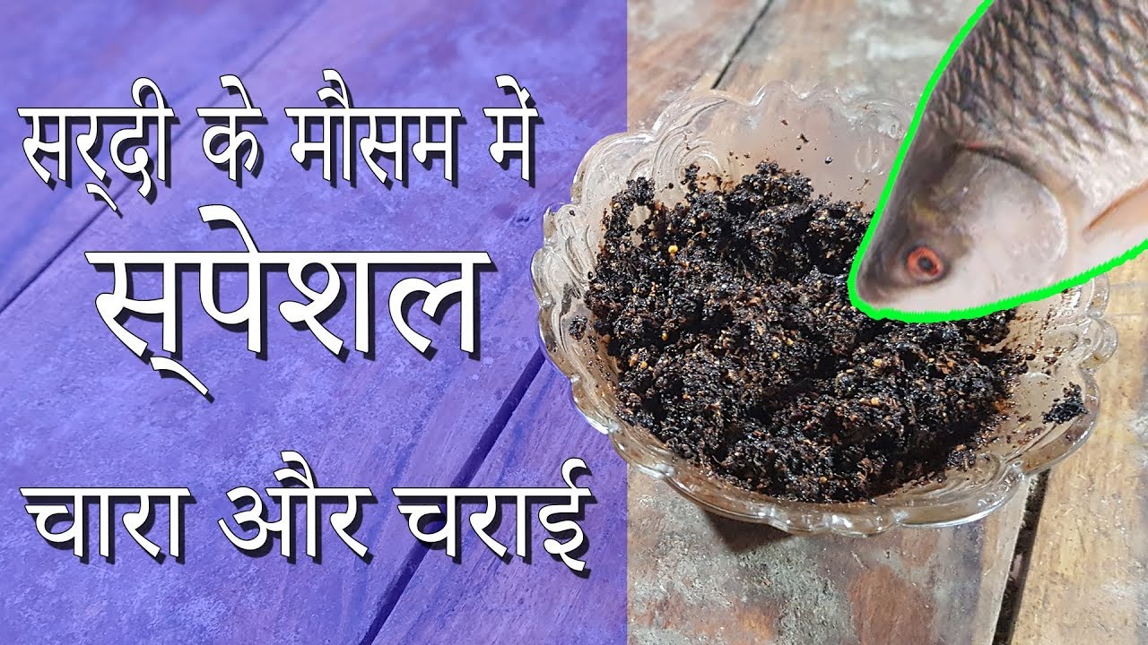 सर्दी के मौसम में बड़ी मछली पकड़ने का चारा और चराई  Amazing Winter Bait Chum Technique Hindi Video