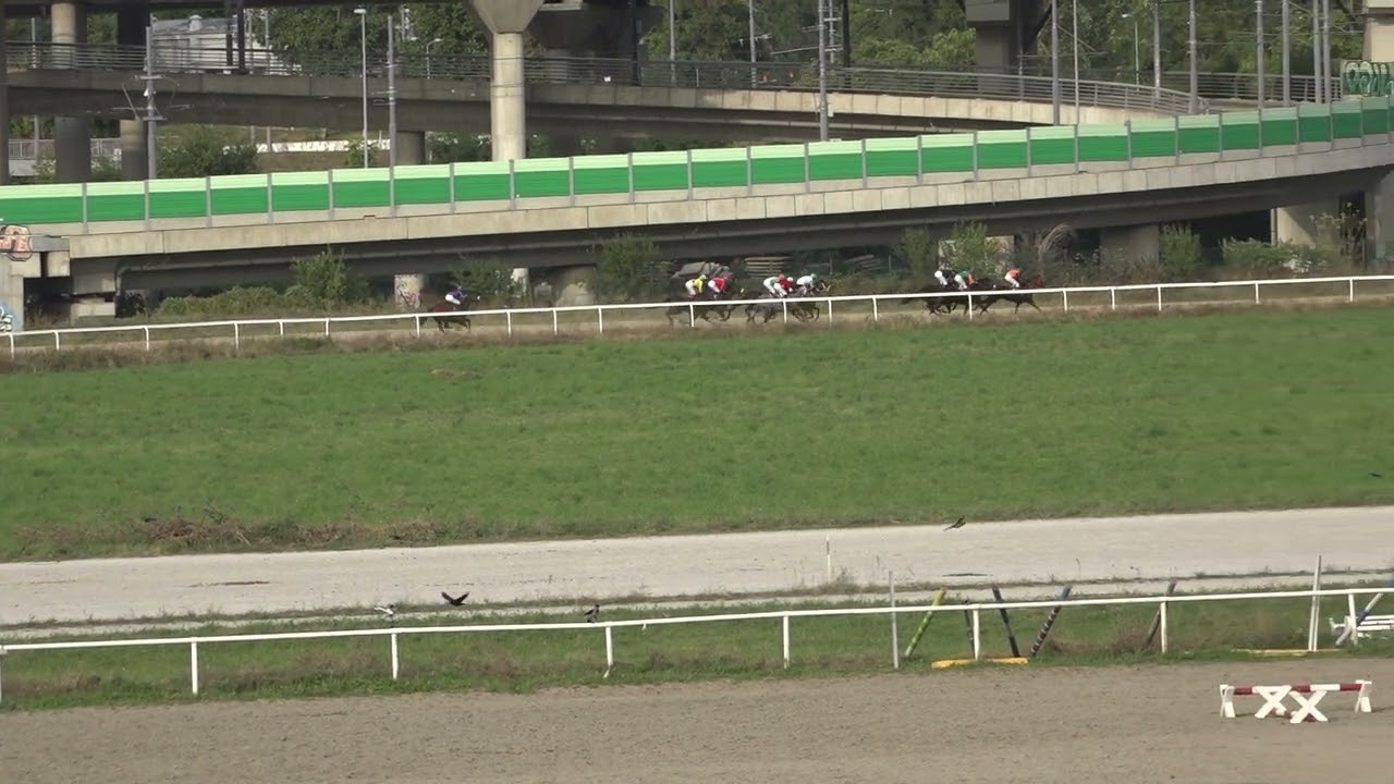 Peta trka Beograd 01 10 2023 BRC