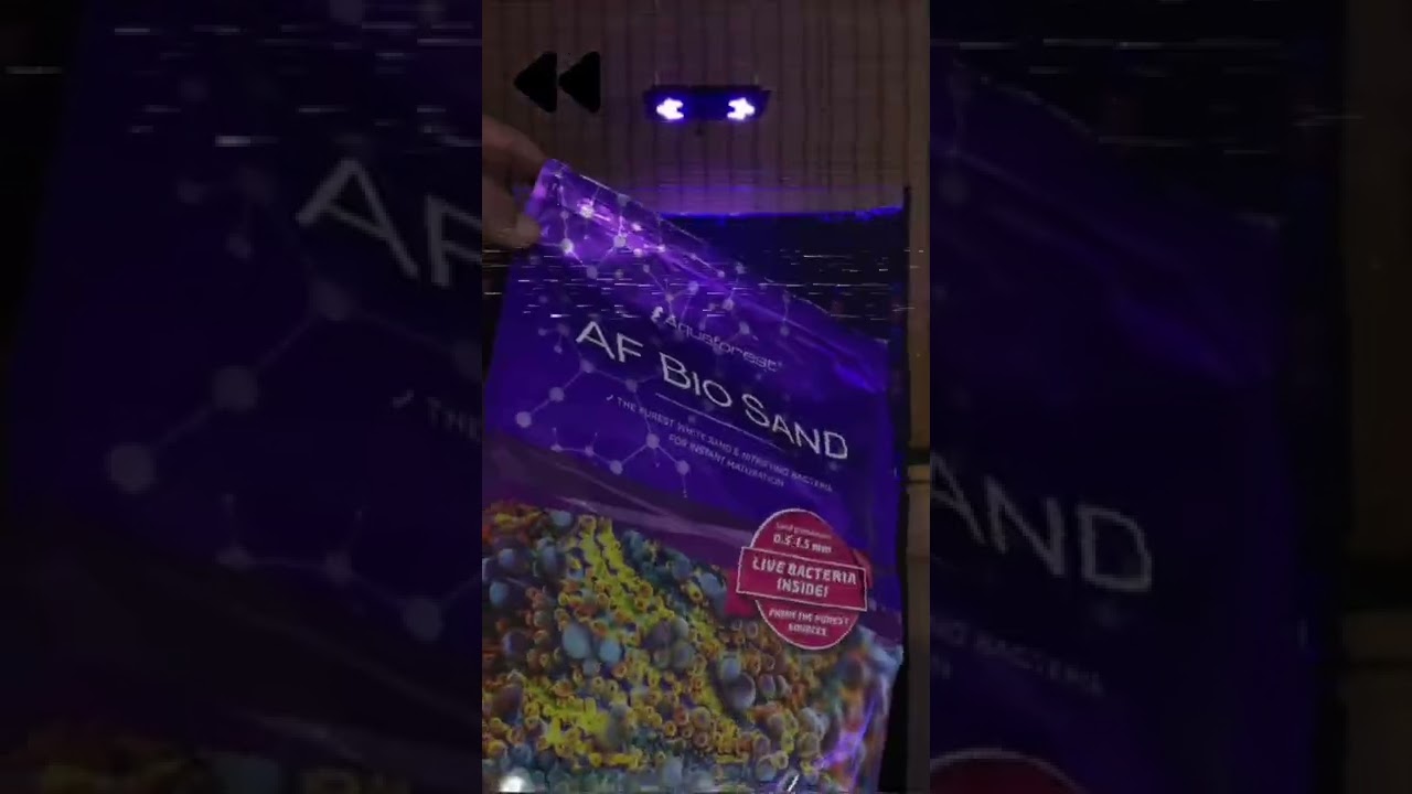 Preparando Substrato AF BIO SAND - Reef - [ Artero Aquarismo ] #fish #shorts