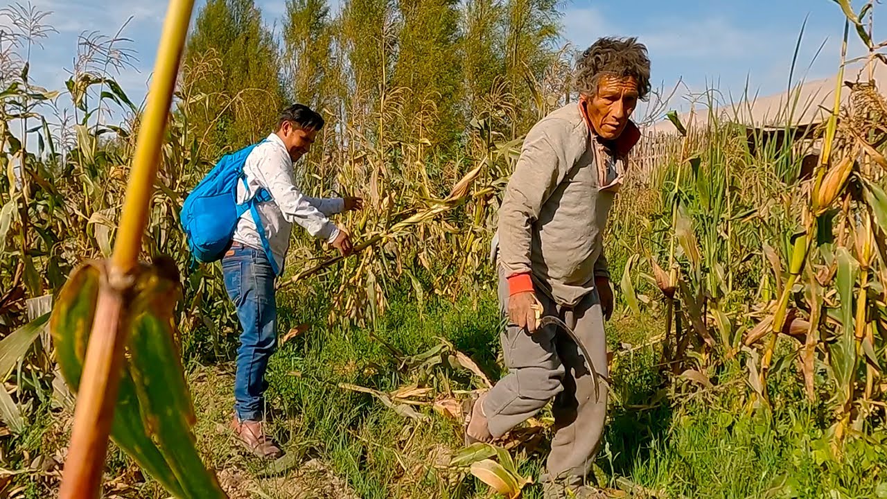 DON FELIPE el HOMBRE que INSPIRA al MUNDO con su TRABAJO en el CAMPO