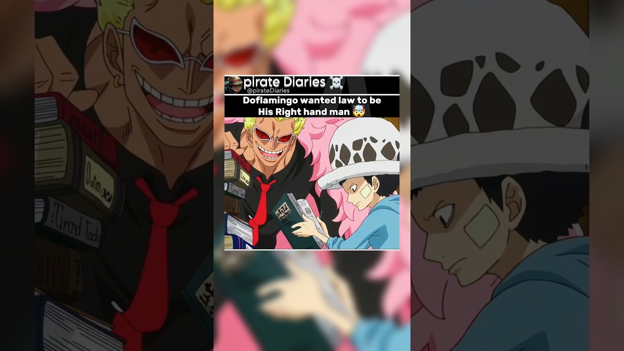 Doflamingo wanted law Law as his right hand man🤯 