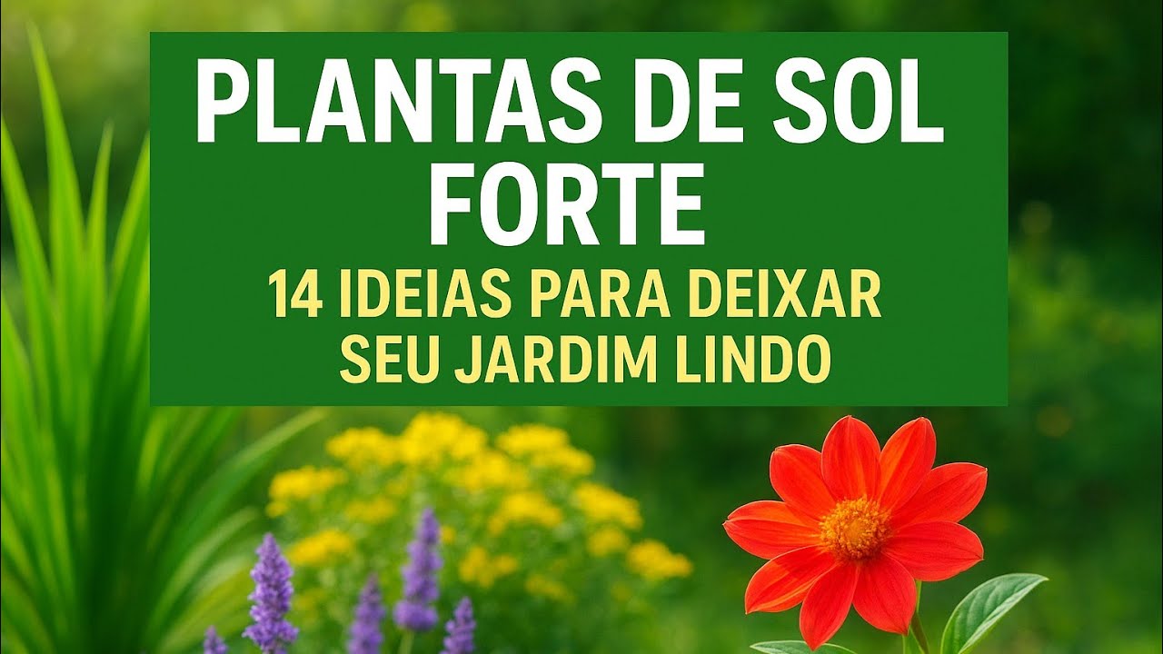 14 Plantas Resistentes ao Sol Para Embelezar Seu Jardim