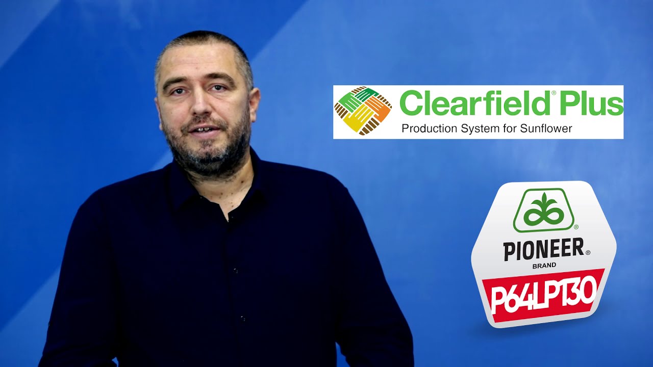 Pioneer prezentacija 2021. region Severna Backa