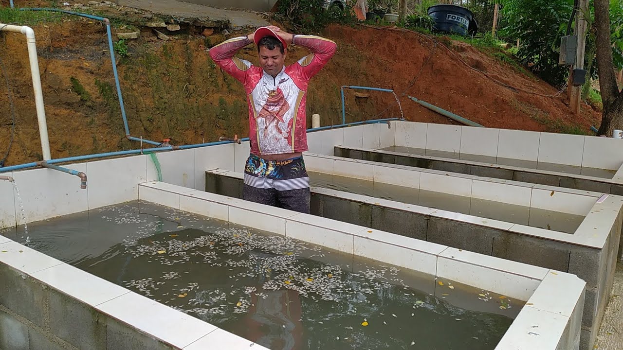 MORREU QUASE TUDO! COMO TRATAR PEIXES COM FUNGOS.
