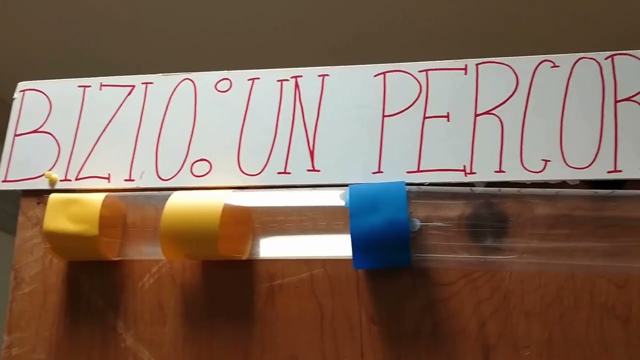 Bizio: un percorso entusiasmante