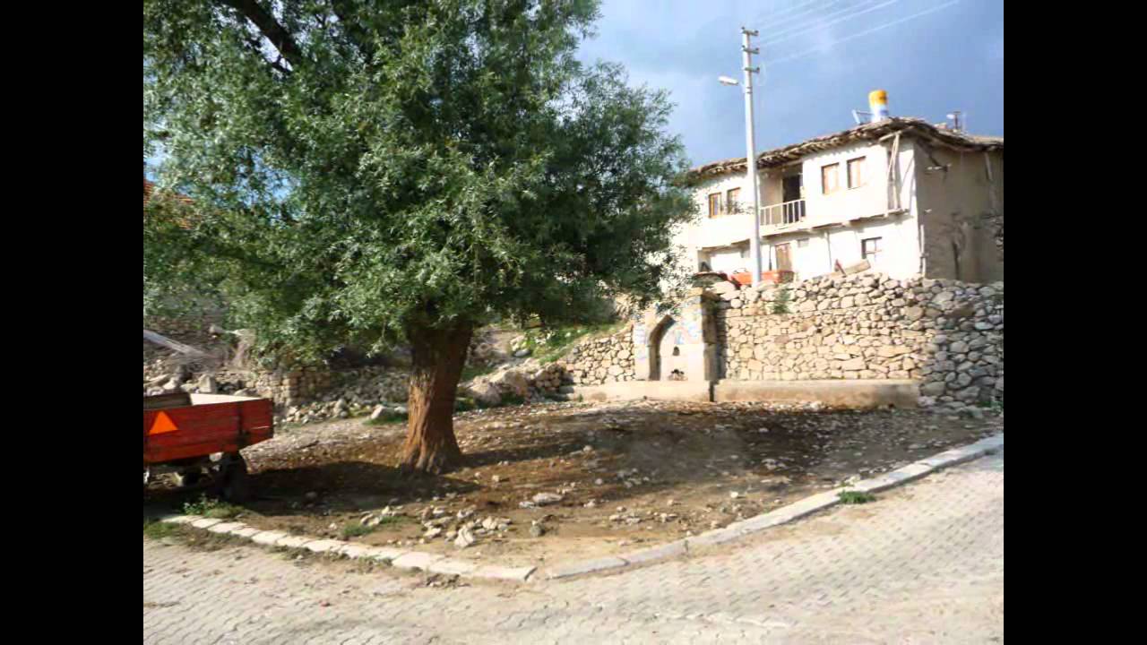 ÇOBANKAYA KÖYÜ