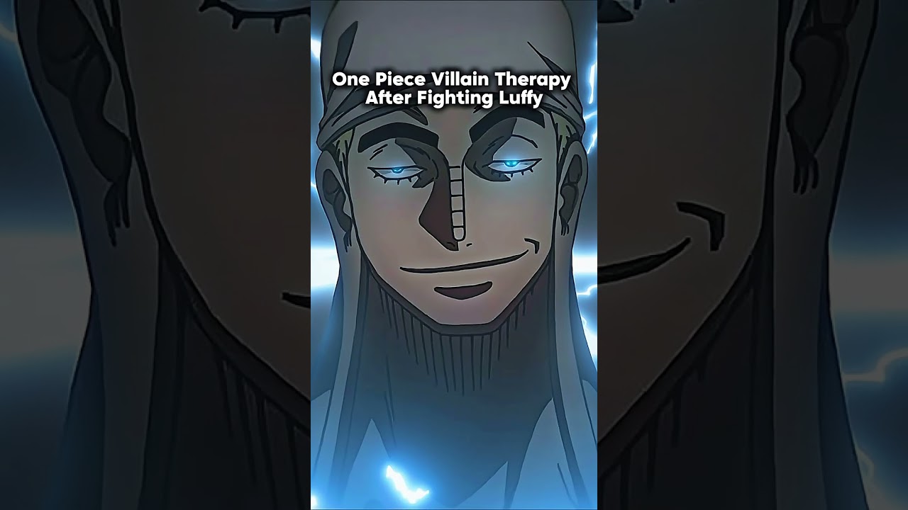 One Piece Villain Therapy After Fighting Luffy