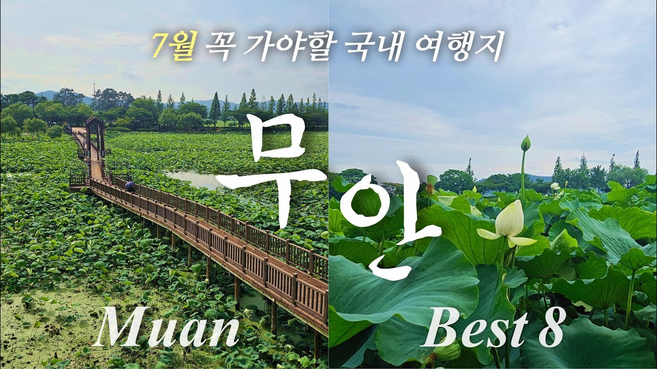 전라남도 무안 여행 🚗 올 7월 여행지 가볼만한 곳ㅣ도리포ㅣ황토갯벌랜드ㅣ홀통해수욕장ㅣ조금나루해수욕장ㅣ톱머리해수욕장ㅣ무안 회산 백련지ㅣ무안정통생활문화테마파크ㅣ식영정 등
